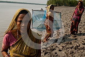 Prawn seed collection in Sunderban